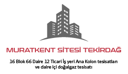 Referans